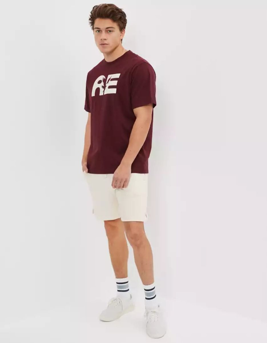 T Shirt Graphique American Eagle AE Super Soft Logo Bordeaux Homme | VHU-72403459